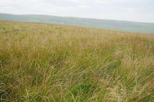 Waun y Llyn