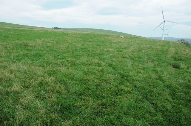 Grassland beside Mynydd Clogau windfarm