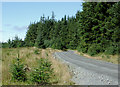 SN8155 : Forestry road in Coed Nantyrhwch, Powys by Roger  D Kidd