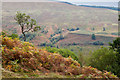 NN2984 : View across Glen Roy by Doug Lee