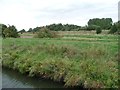 SK9572 : Path along the north bank, Fossdyke by Christine Johnstone