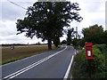 TM0744 : A1071 Back Lane & Park Farm Postbox by Geographer