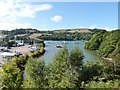 SX8853 : Noss Creek on the River Dart by Derek Voller