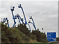 NZ3042 : Cherry pickers by Pauline E