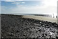 SD2062 : Walney Island Groynes (3) - Between the rows by Rob Farrow