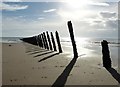 SD2062 : Walney Island Groynes (4) - The northern row by Rob Farrow