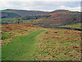 SK2671 : Pathway at Dobb Edge by Trevor Rickard