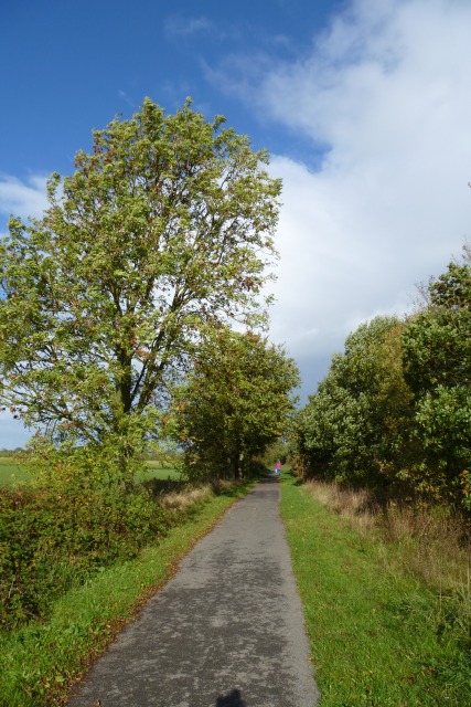 Start of the old railway path