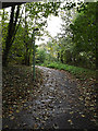 TM1244 : Footpath to Church Lane & Sproughton Church by Geographer