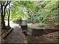 SX8159 : Sluice and drainage ditch, Longmarsh, Totnes by David Smith