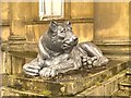 SD8304 : Heaton Hall Lion by David Dixon