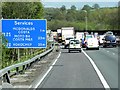 TQ4054 : M25 Services Ahead by David Dixon