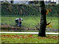 H4572 : Angling at Omagh's boating lake by Kenneth  Allen