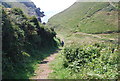 SS0897 : Pembrokeshire Coastal Path by N Chadwick