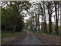 TM4476 : Footpath to the A12 & entrance to Henham Park by Geographer