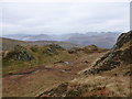 NN4606 : Flat boggy area west of Ben Venue by Alan O'Dowd