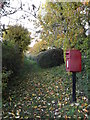 TM2560 : Footpath & Low Street Postbox by Geographer