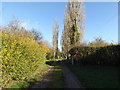 TM2561 : Footpath & entrance to Hillhouse Farm by Geographer