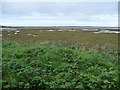 SH4558 : The Foryd near to high tide, from Cuddfan hide [1] by Christine Johnstone