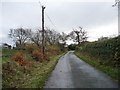 SH4856 : The narrow road from Rhos Isaf by Christine Johnstone