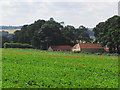 SK9545 : Heath Barn, E of Carlton Scroop, Lincs by Colin Park