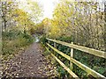 SJ9594 : Entrance to Trans Pennine Trail by Gerald England