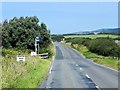 SZ4281 : Military Road, Brighstone by David Dixon