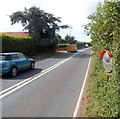 ST1828 : Mirror in a hedge alongside the A358 by Jaggery