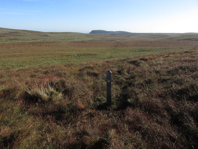 Marker post on Ulster Way and view across blanket bog to Benaughlin