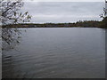 SU1999 : Lakeside houses, Bowmoor Lake, near Lechlade by Vieve Forward