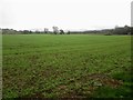 NY0931 : Arable land alongside the River Derwent by Graham Robson