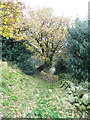 SE0820 : Tree arched over Church Lane by Humphrey Bolton