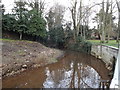 TM3877 : Town River, Halesworth by Geographer