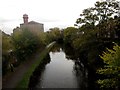 SD4761 : Looking north along Lancaster Canal from Nelson Street by Graham Robson