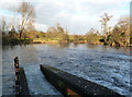 SU6369 : Weir Pool and Fish Pass by Des Blenkinsopp