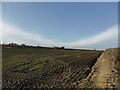 SK9922 : Ploughed field by Bob Harvey