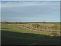 SK9922 : Field in the Glen Valley by Bob Harvey