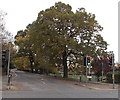 SU4014 : Tree-lined St James Road, Southampton by Jaggery