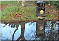 J3875 : Puddle and litter bin, Belfast by Albert Bridge