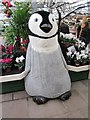 SJ4053 : A Christmas Penguin in Bellis Brothers Farm Shop, Holt by Jeff Buck