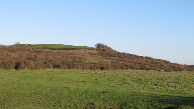 Hills in Hadleigh Country Park