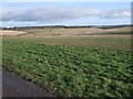 SU1671 : View from The Warren towards Old Eagle, Marlborough Downs by Vieve Forward