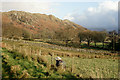 NY1400 : Eskdale Valley, Cumbria by Peter Trimming