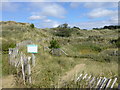 SD2708 : Natterjack Toad enclosure at Freshfield by Raymond Knapman