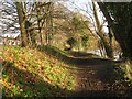 SP2965 : Riverside Walk by Emscote Gardens, Warwick 2014, January 7 by Robin Stott