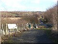 NZ2556 : Bowes Railway Path at the Lamesley Reedbeds by Oliver Dixon