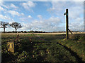 TM2637 : Footpath to Thorpe Lane by Geographer