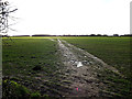 TM2737 : Footpath to Grimston Hall & Lane by Geographer