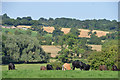 SK6647 : Looking towards Gonalston back lane from fields at end of Mount Pleasant Lowdham by Joy Newbould