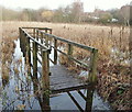 SK5446 : Moorbridge Pond Nature Reserve, Bestwood, Notts. by David Hallam-Jones